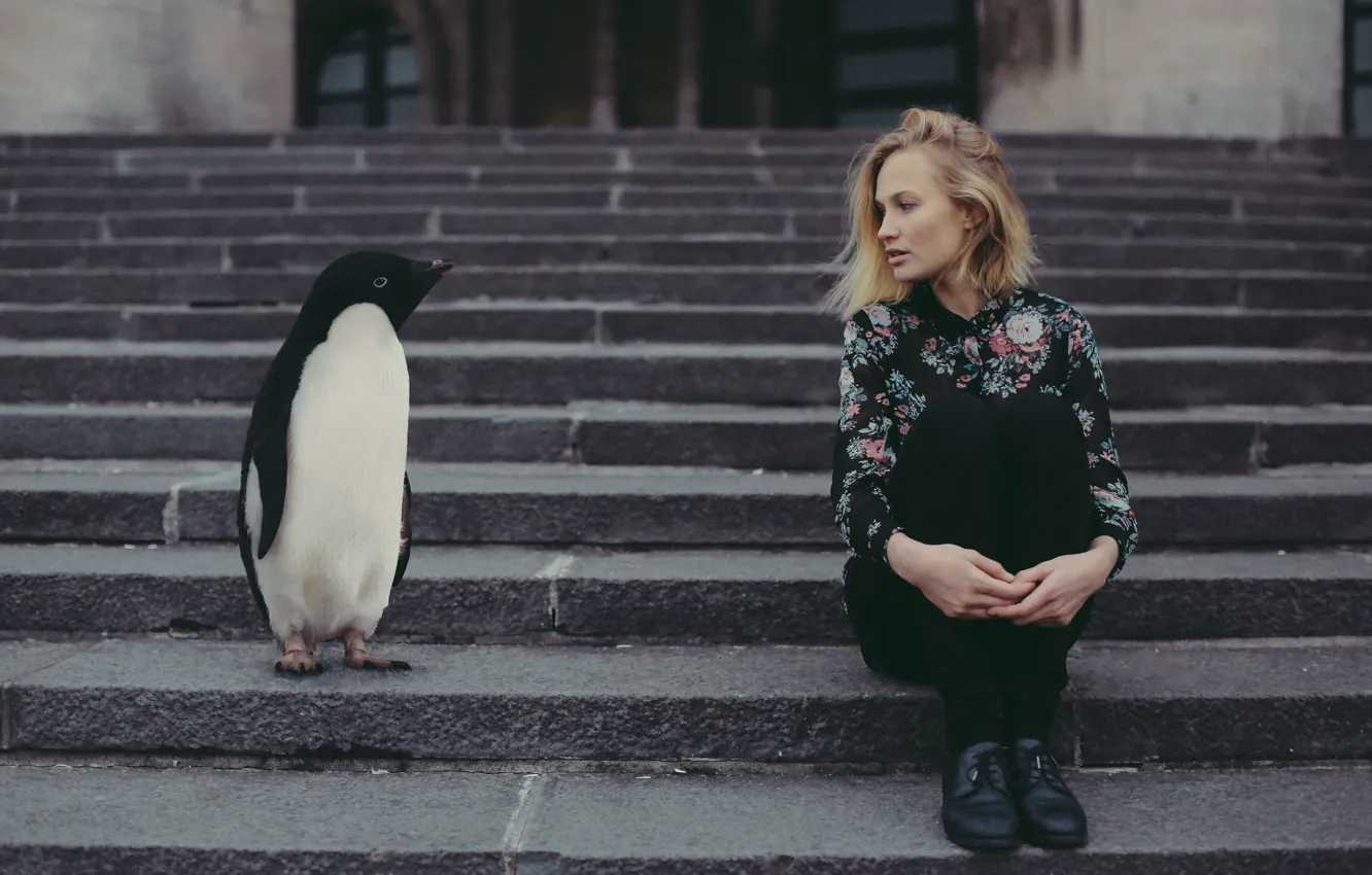 Фото обои девушка, лестница, пингвин