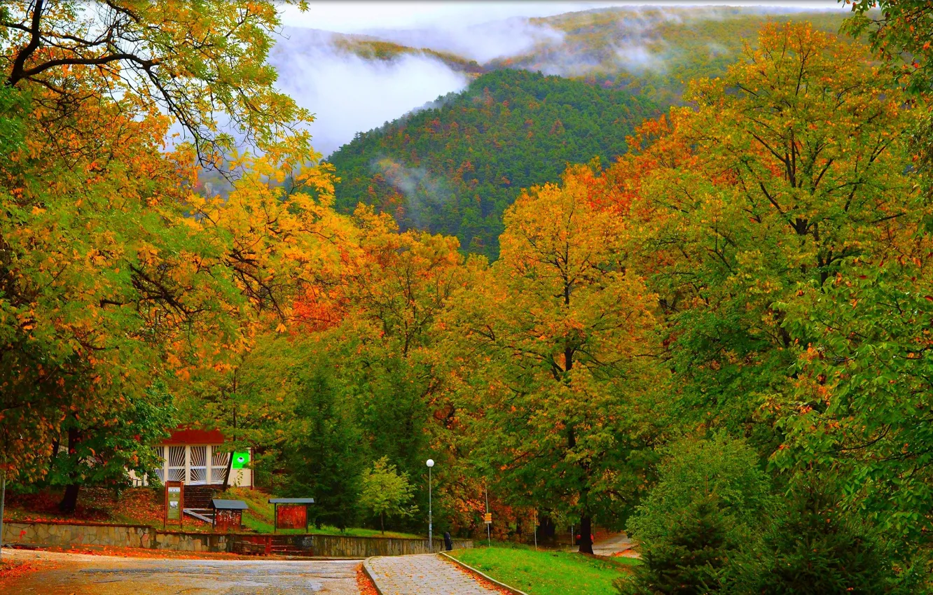 Фото обои Природа, Дорога, Осень, Деревья, Холмы, Fall, Autumn, Road