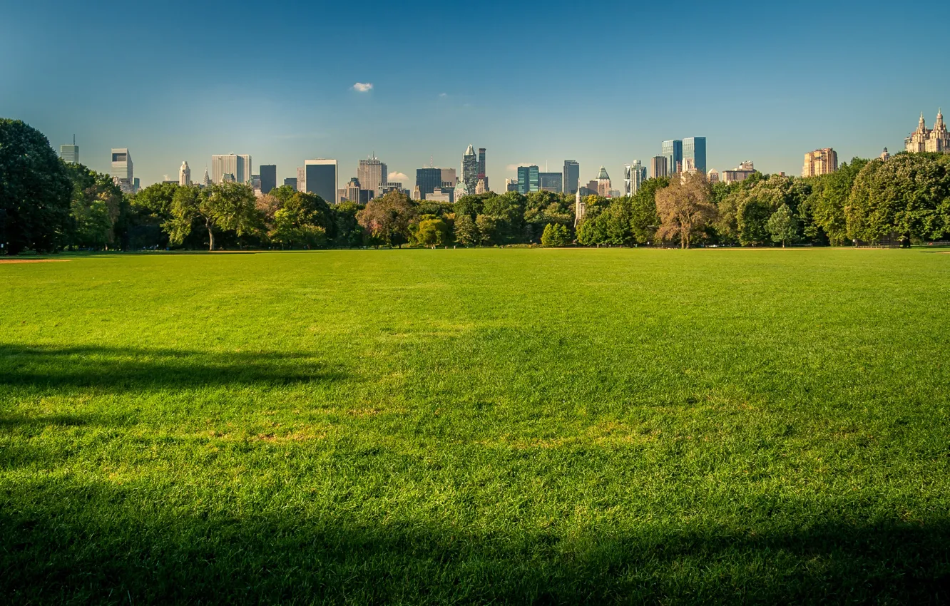 Фото обои небо, трава, здания, Нью-Йорк, США, Центральный парк