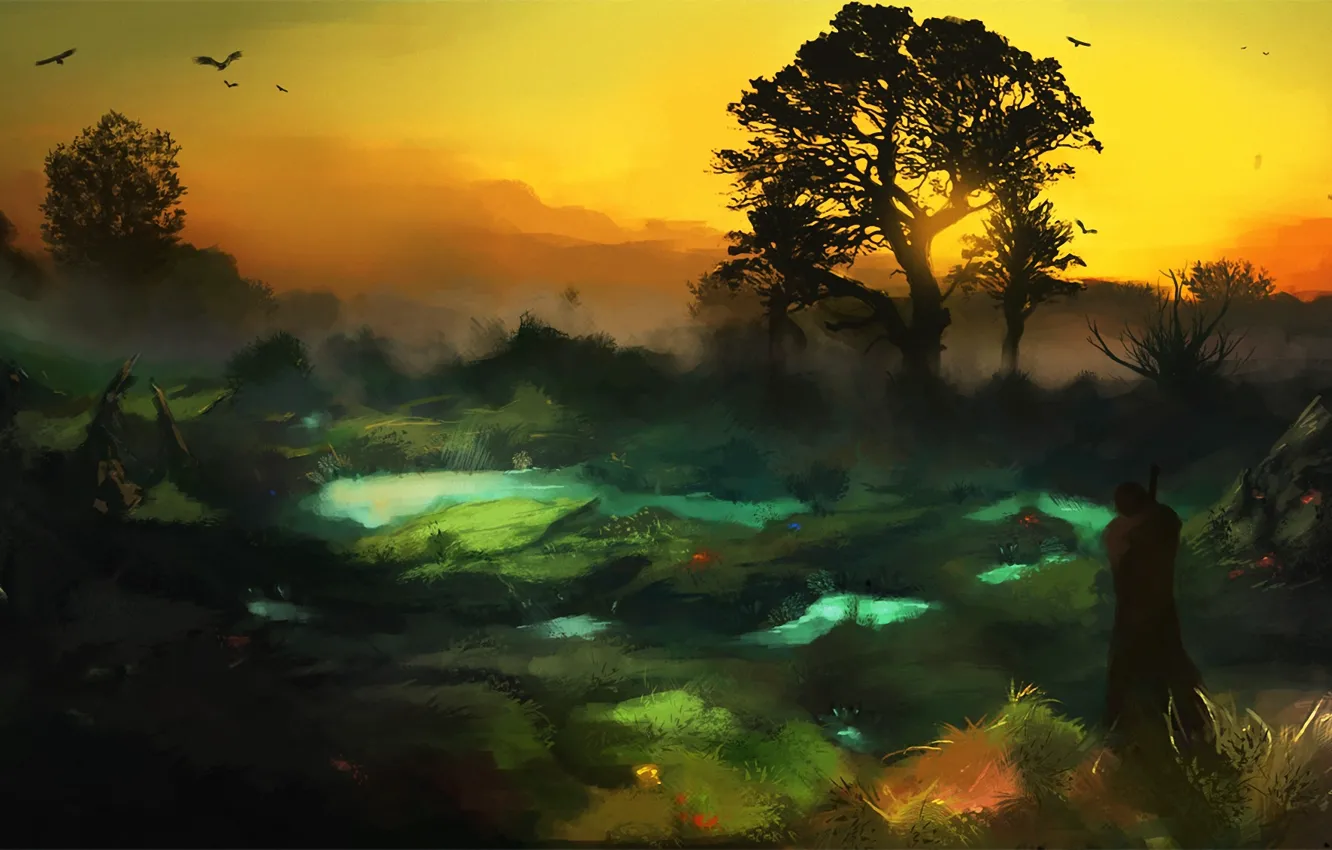 Фото обои закат, птицы, туман, дерево, человек, болото, фигура, путник