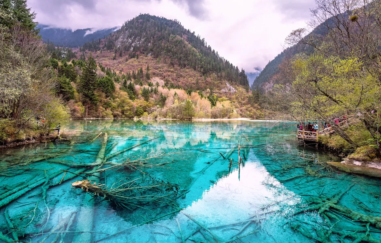 Фото обои горы, озеро, берег