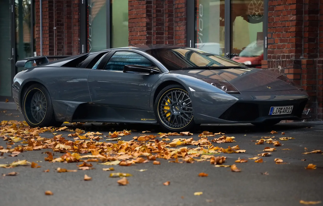 Фото обои серый, листва, Lamborghini, суперкар, Murcielago