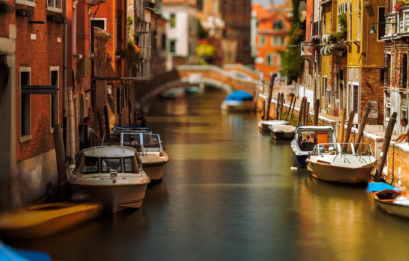 Фото обои цветы, мост, лодка, дома, утро, катер, Италия, Венеция