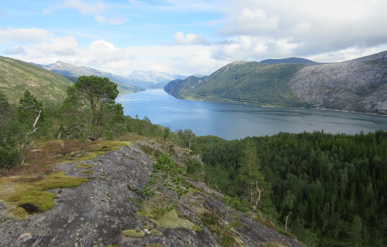 Фото обои горы, камни, мох, сосны, Fjord
