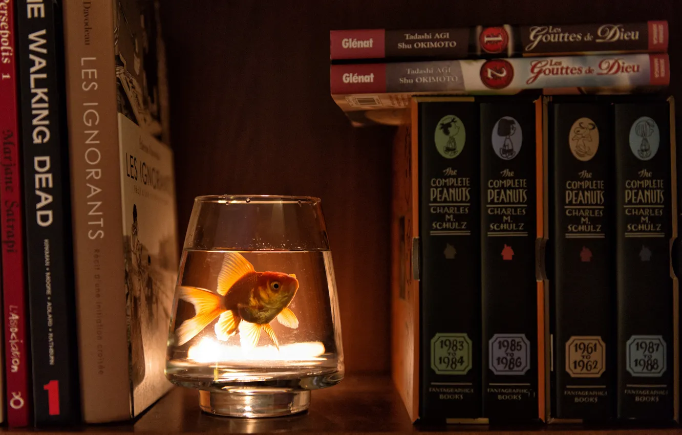 Фото обои вода, стакан, книги, рыбка, шкаф
