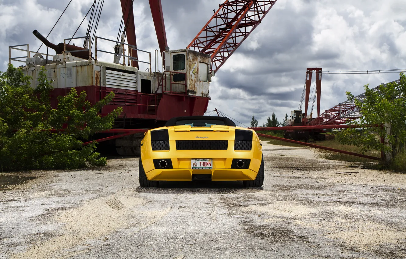 Фото обои деревья, жёлтый, ограждение, gallardo, кабриолет, lamborghini, yellow, задок