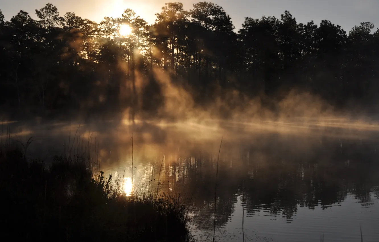 Фото обои вода, солнце, отражение, утро, Флорида, испарение, Дак пруд