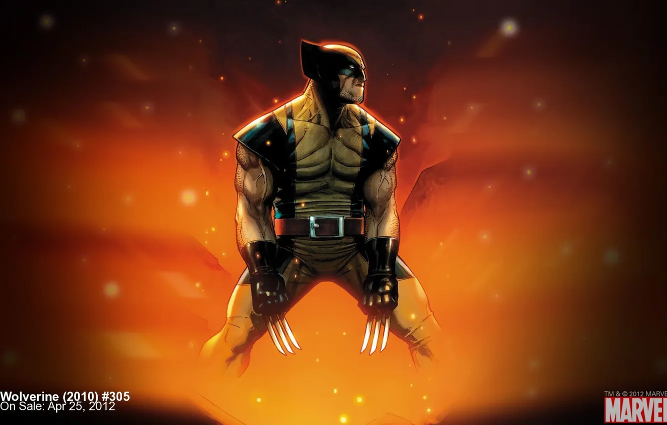 Фото обои Росомаха, Wolverine, marvel, комикс