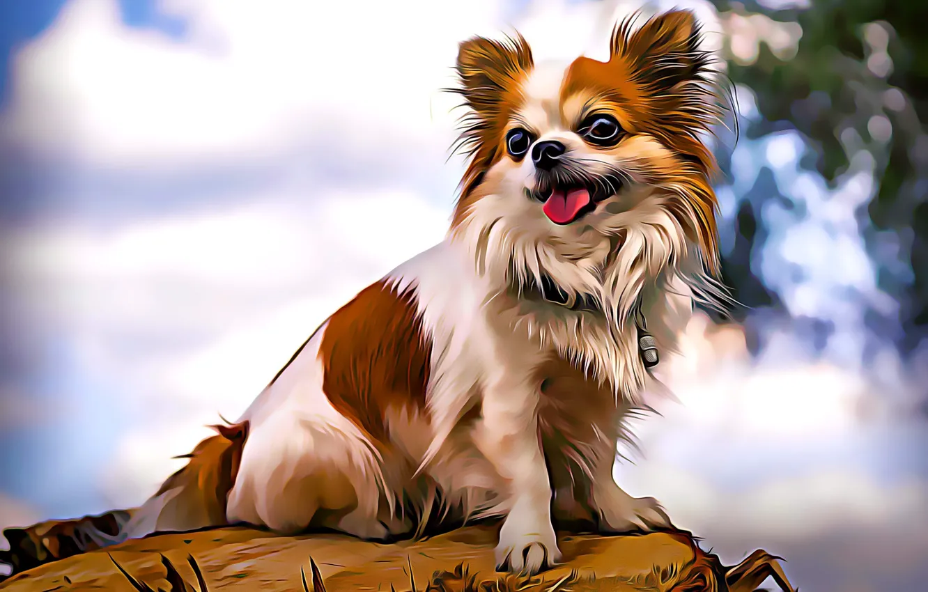 Фото обои собака, малыш, пес, dog, компьютерная графика, питомец, pet, Chihuahua