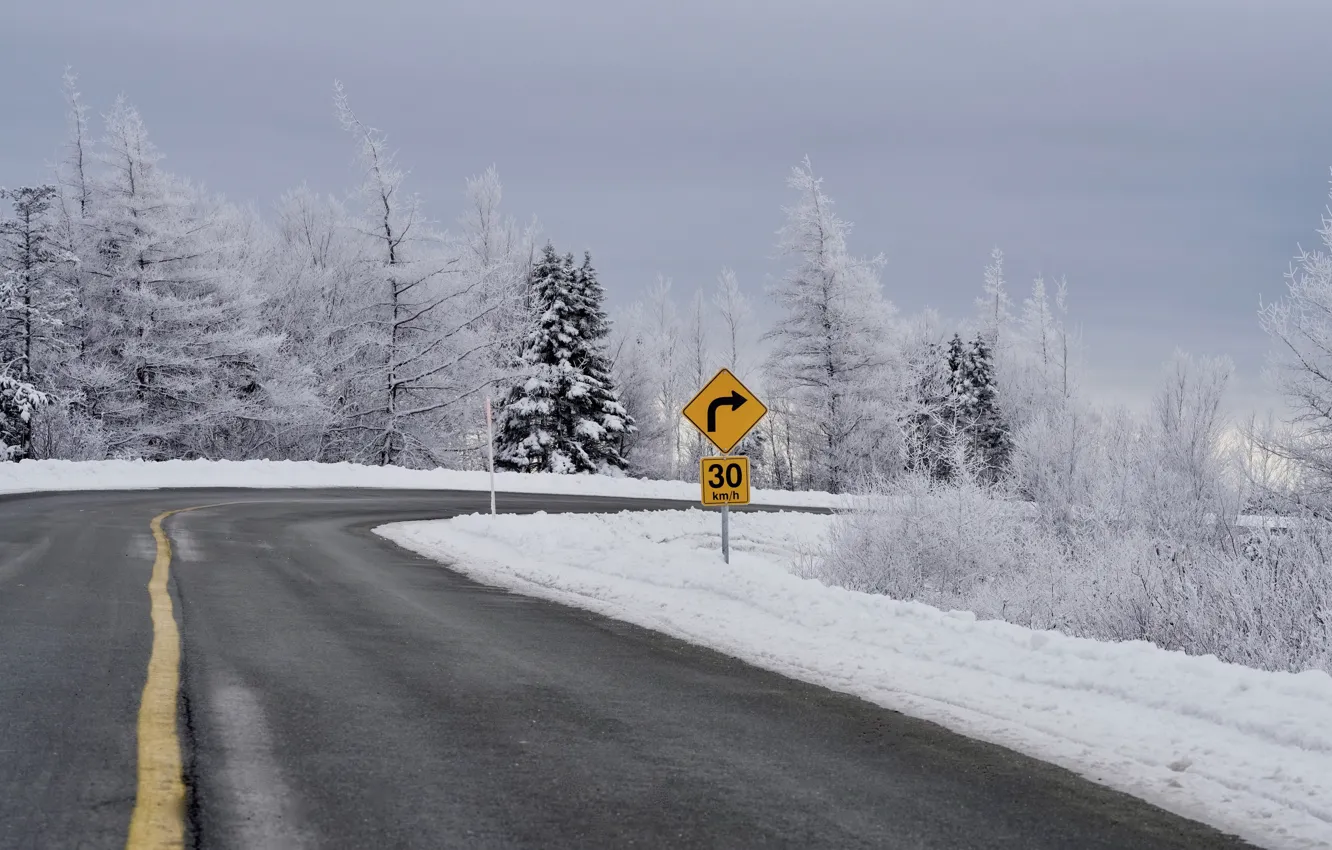 Фото обои зима, дорога, поворот