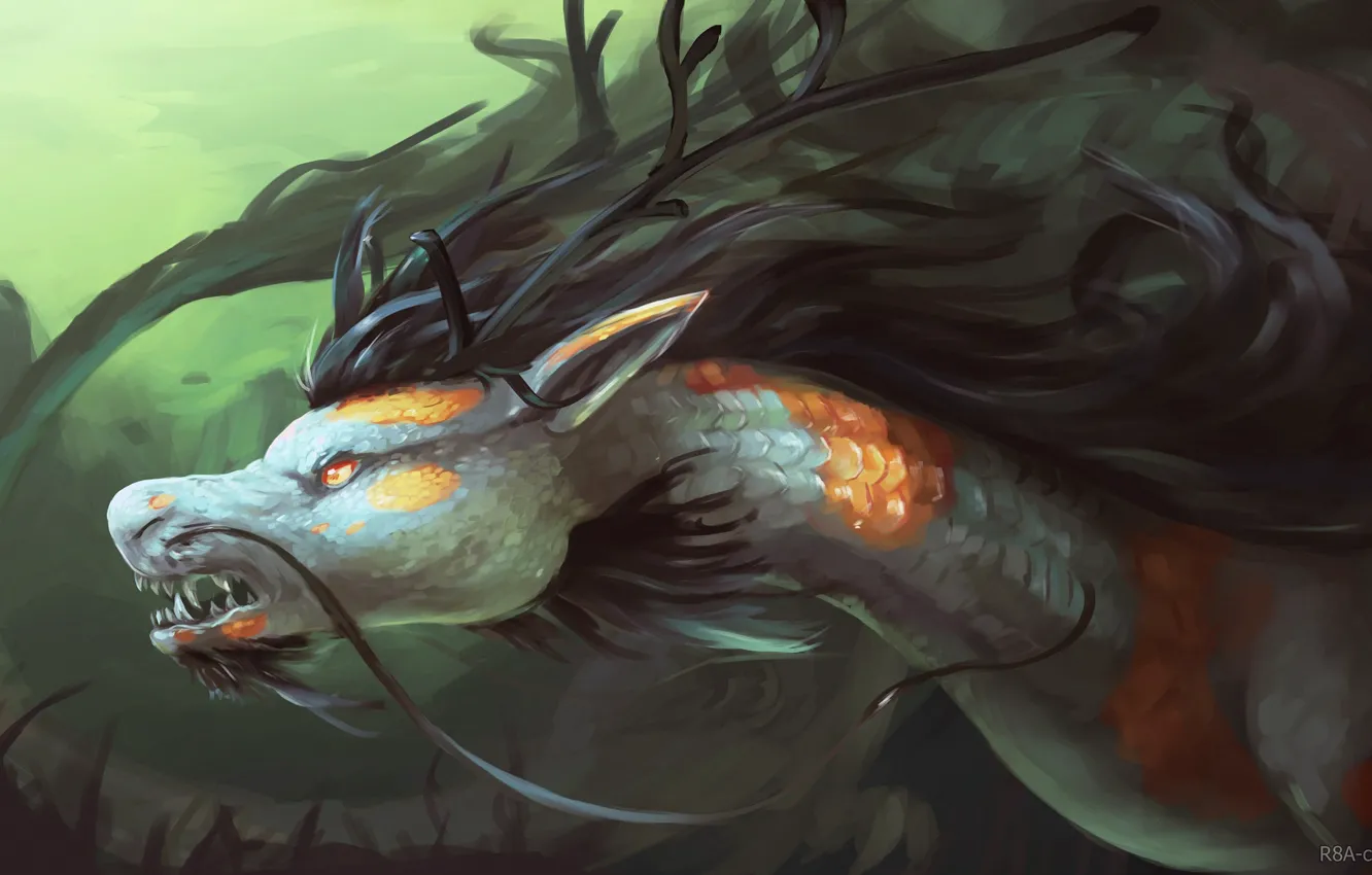 Фото обои взгляд, дракон, грива