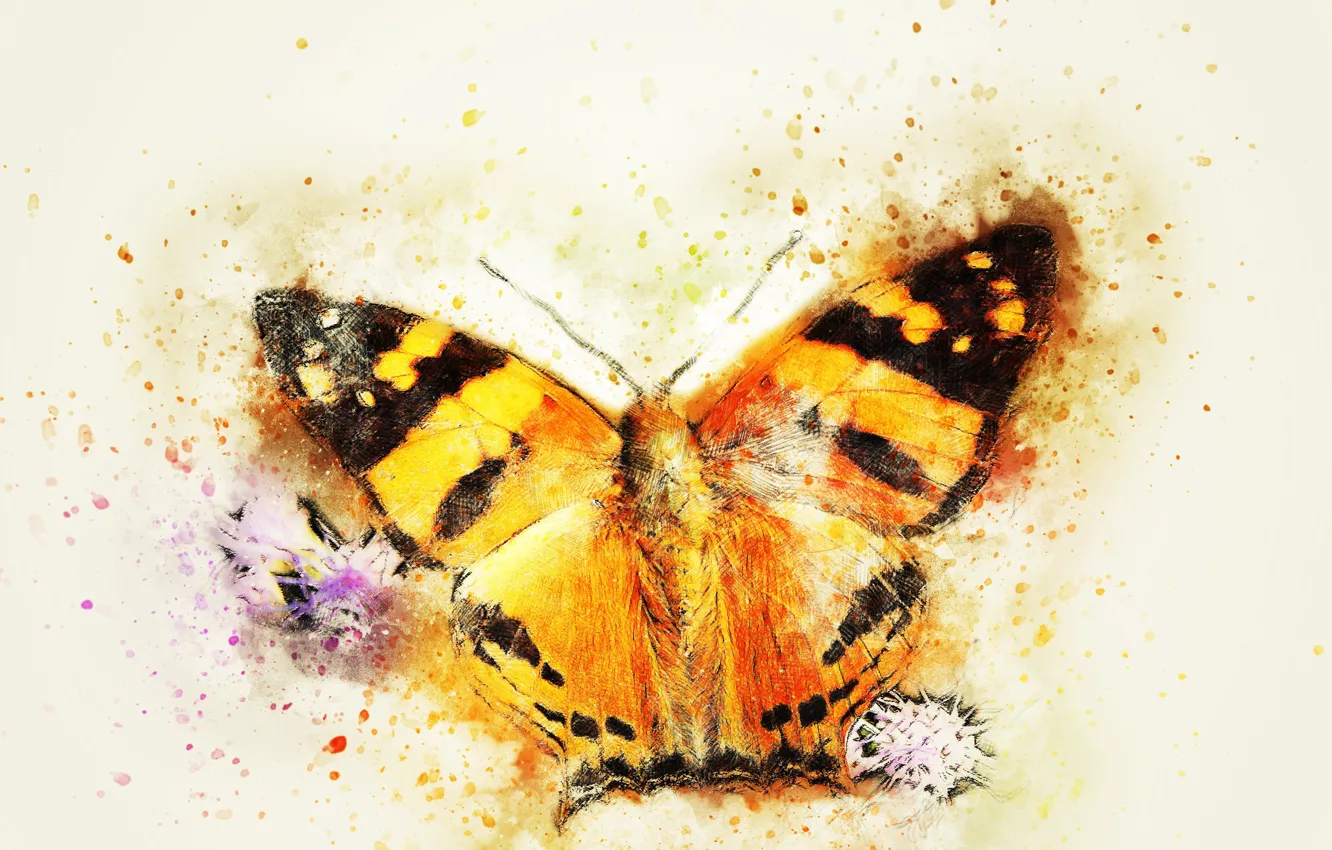 Фото обои макро, фон, бабочка, стилизация под живопись