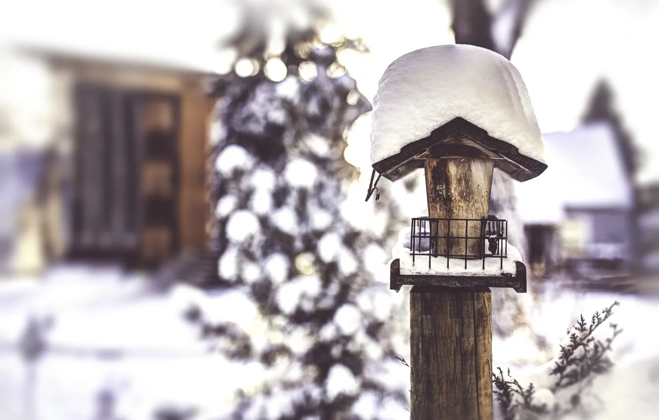 Фото обои зима, снег, скворечник, домик