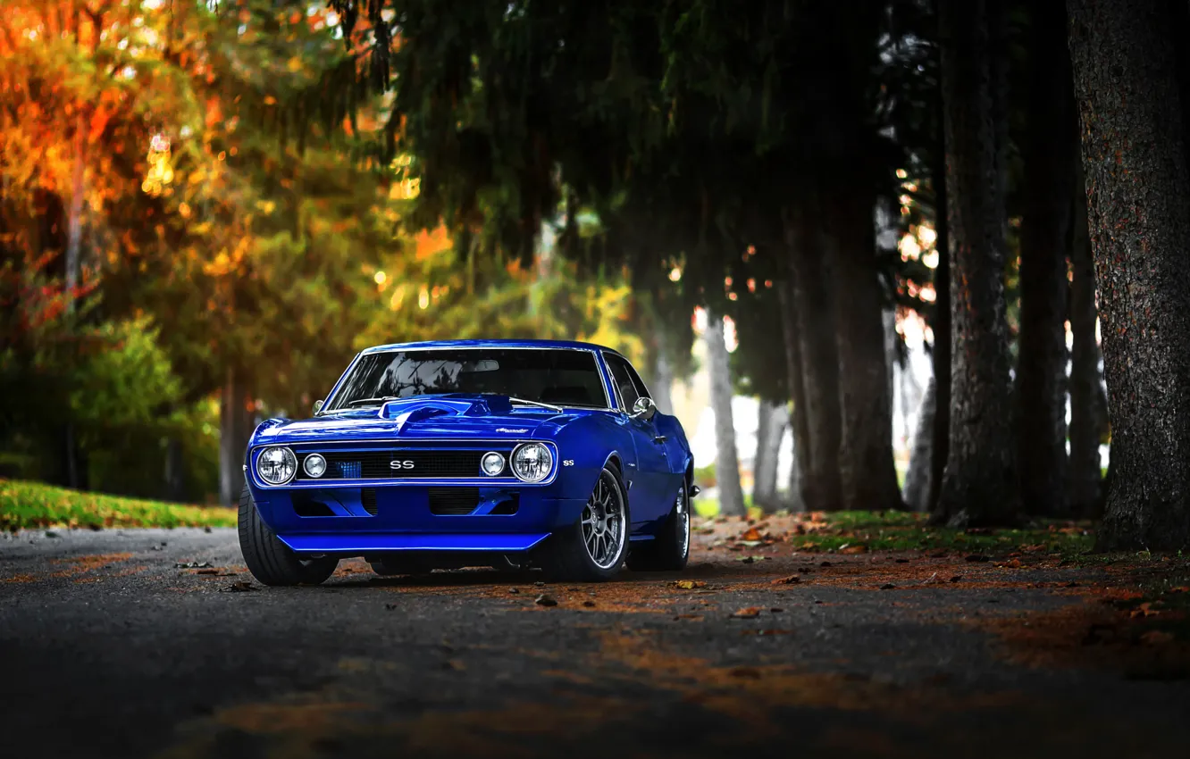 Фото обои Chevrolet, Muscle, 1969, Camaro, Car, Fall, Blue, Color