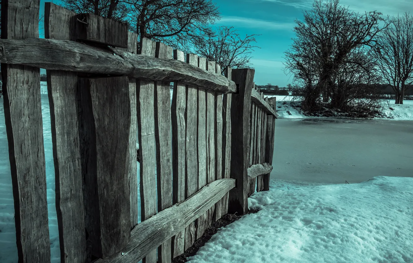 Фото обои зима, снег, дерево, забор