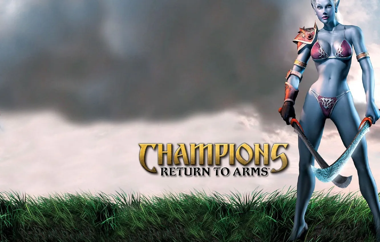 Фото обои трава, девушка, оружие, эльфийка, туча, лужайка, Champions: Return to Arms