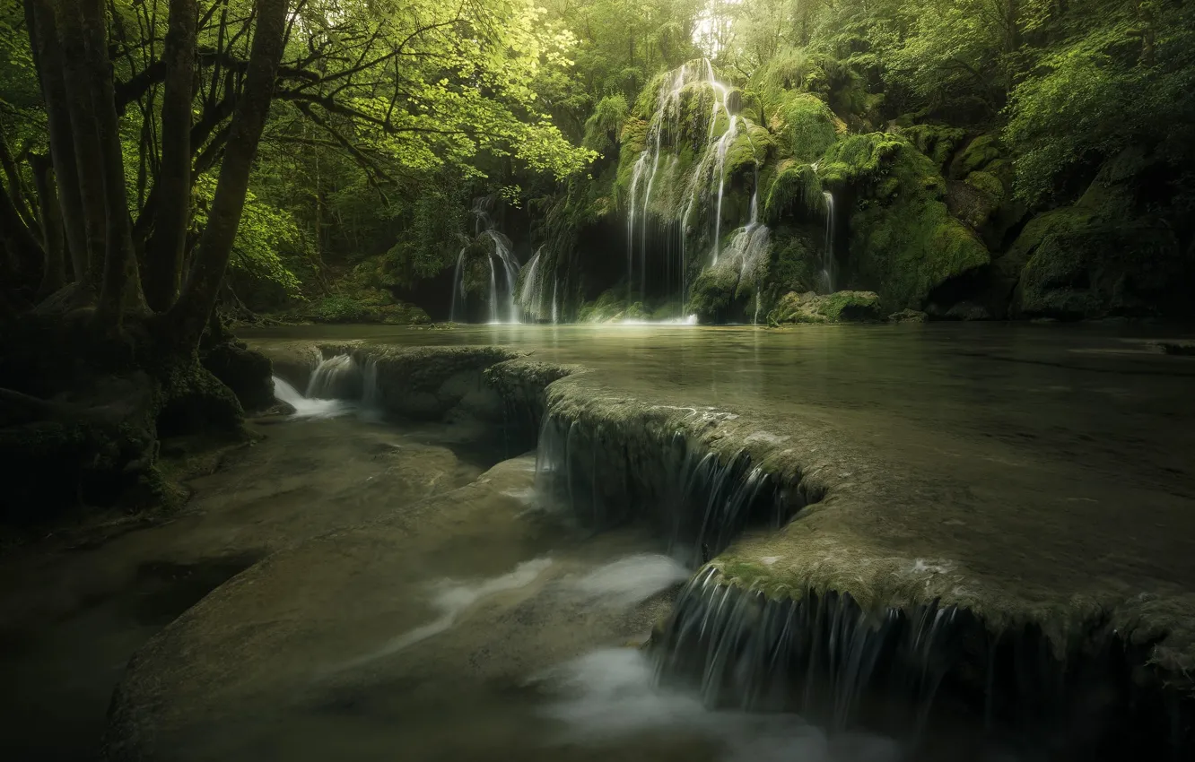 Фото обои лес, вода, свет, деревья, природа, река, камни, водопады