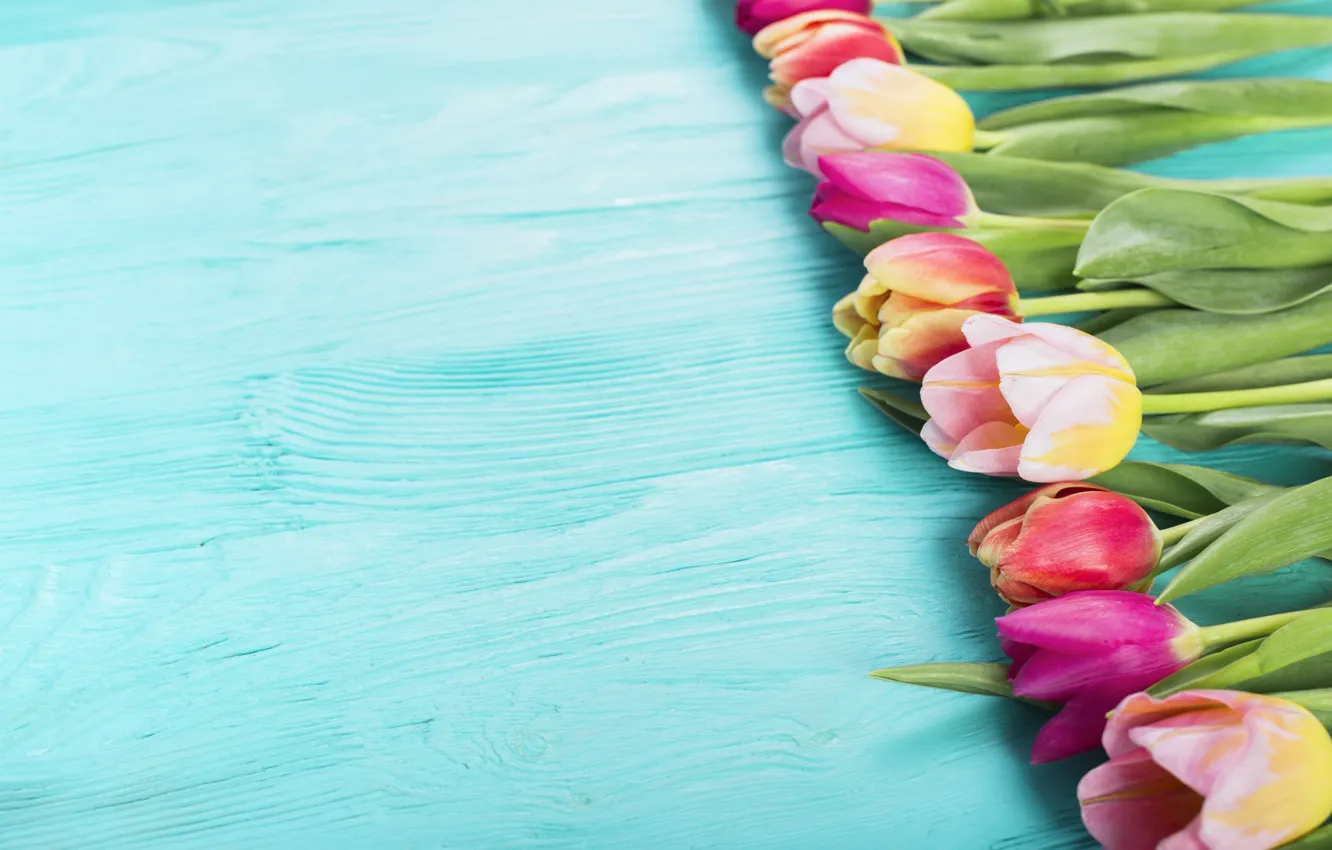 Фото обои цветы, colorful, тюльпаны, розовые, wood, pink, flowers, tulips