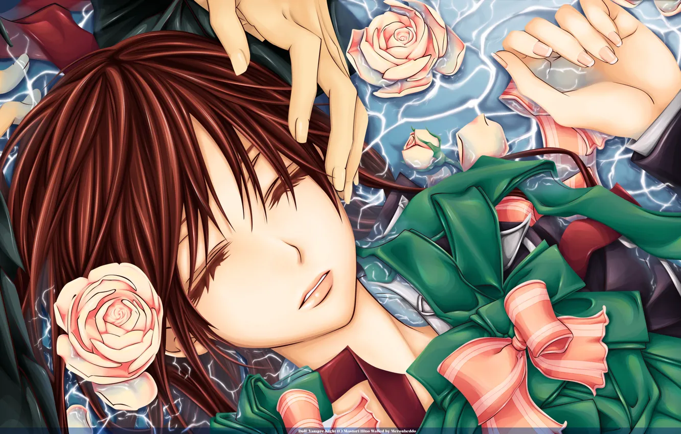 Фото обои вода, спокойствие, розы, руки, Vampire Knight, Yuki, банты
