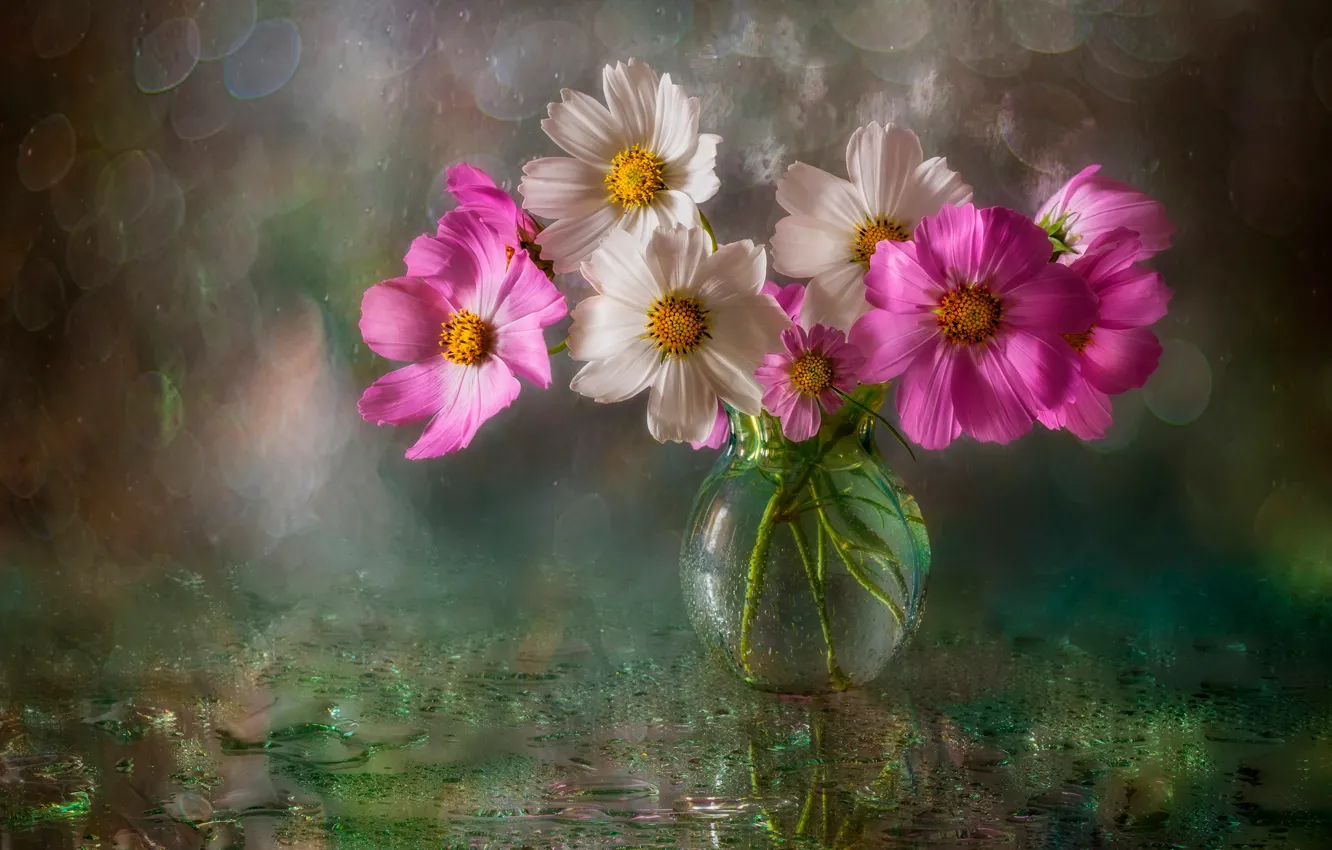 Фото обои мокро, вода, капли, цветы, блики, фон, ваза, боке