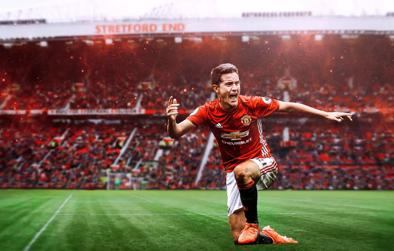 Фото обои wallpaper, sport, stadium, football, Manchester United, Old Trafford, player, Ander Herrera