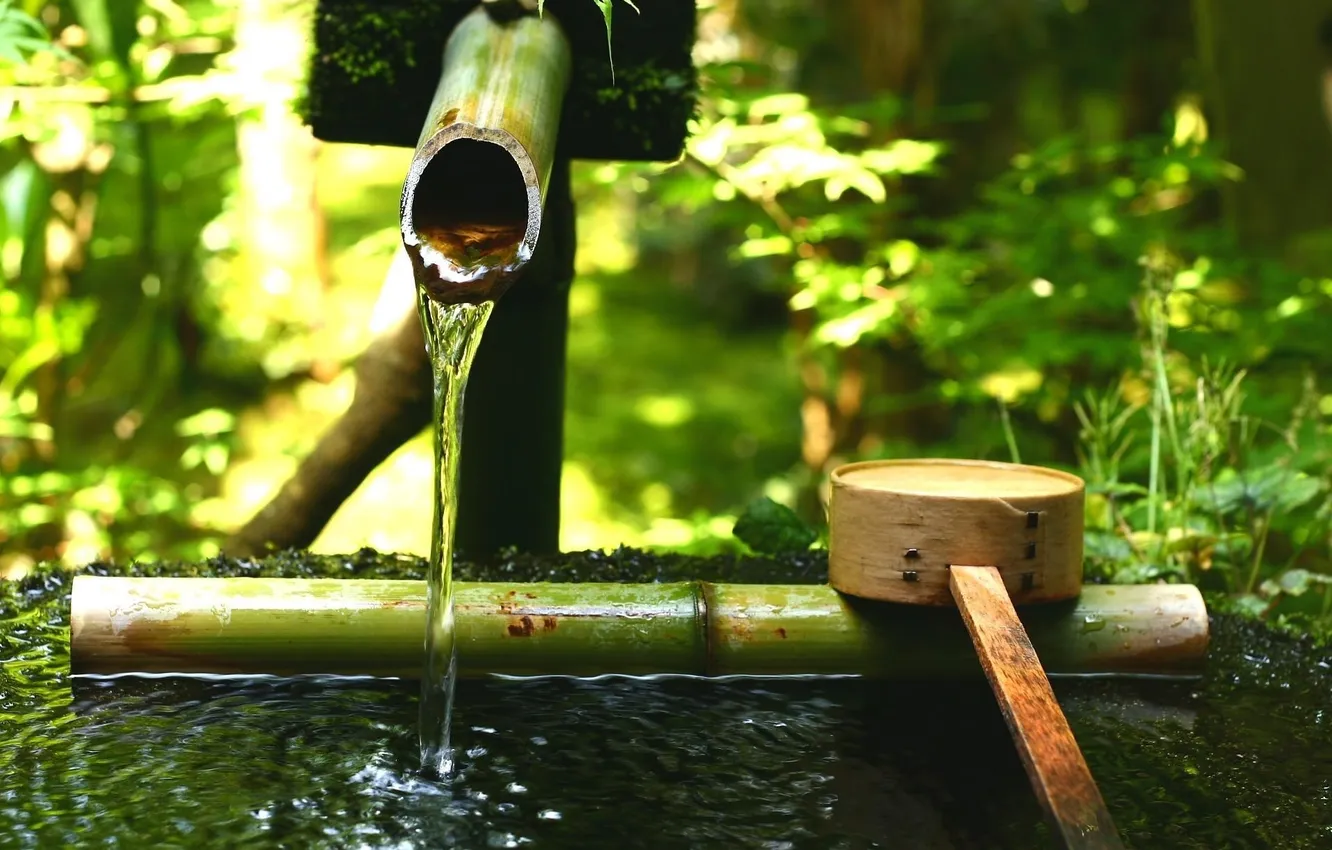 Фото обои зелень, вода, камень, ковш, японский сад, бамбуковый, тсукубаи