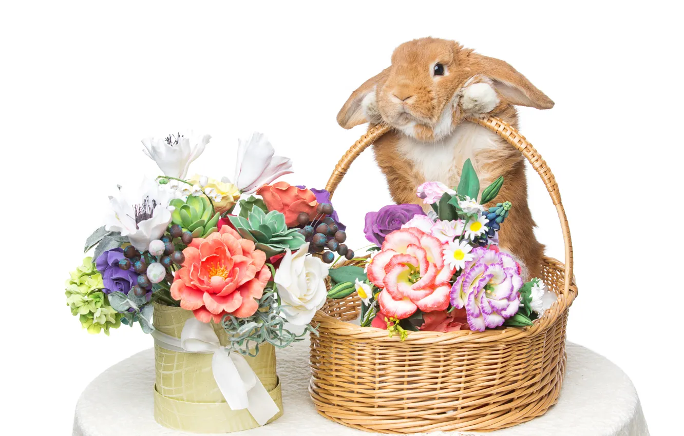 Фото обои цветы, корзина, кролик, Пасха, happy, rabbit, flowers, spring
