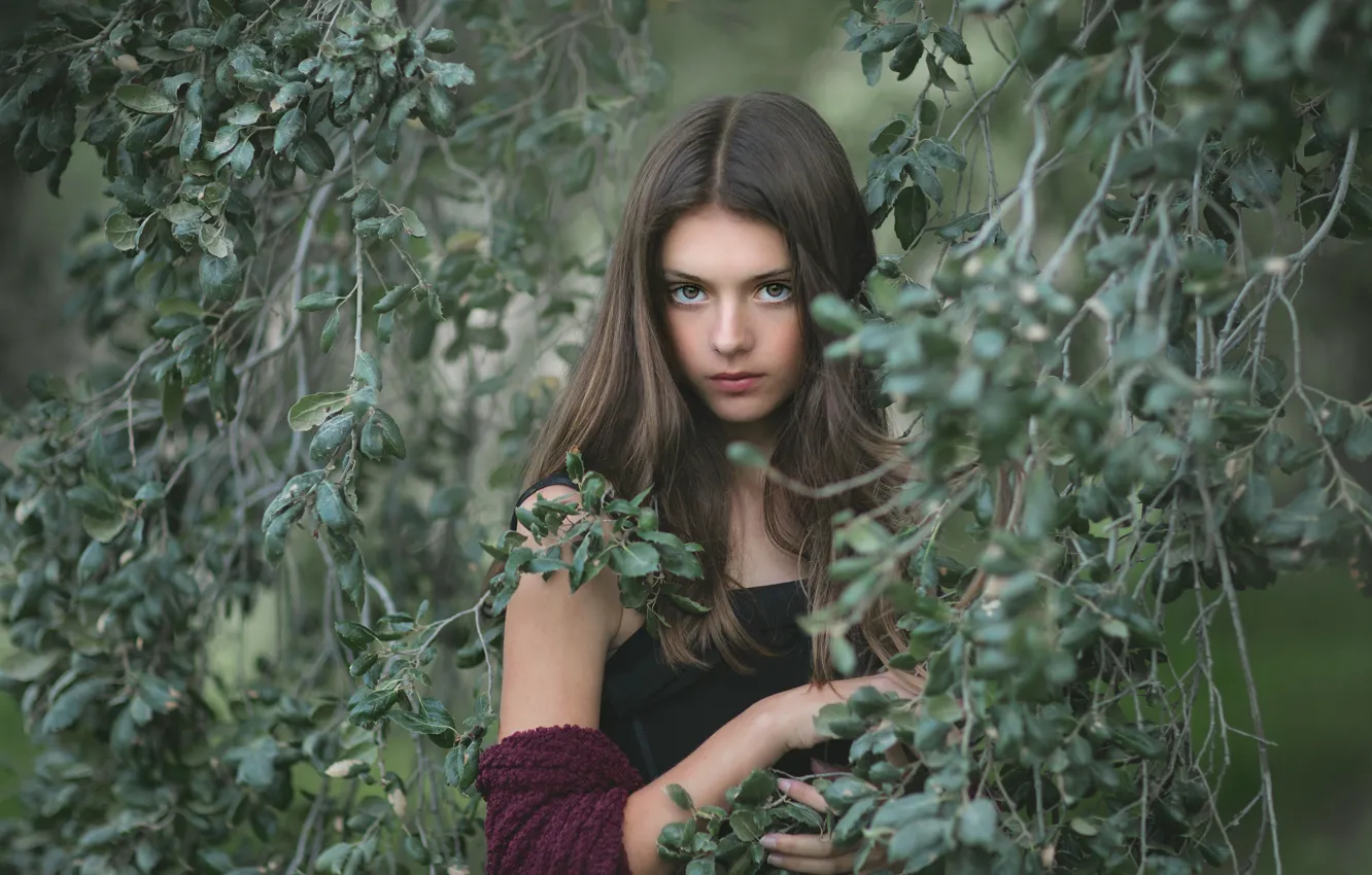 Фото обои зелень, взгляд, листья, девушка, ветки, природа, лицо, поза