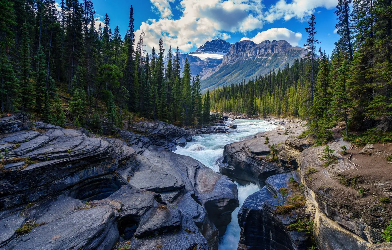 Фото обои пейзаж, горы, природа, река, камни, Канада, Альберта, леса