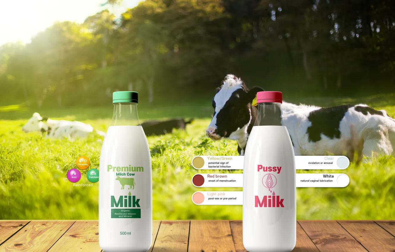 Фото обои milk, cow, bottle