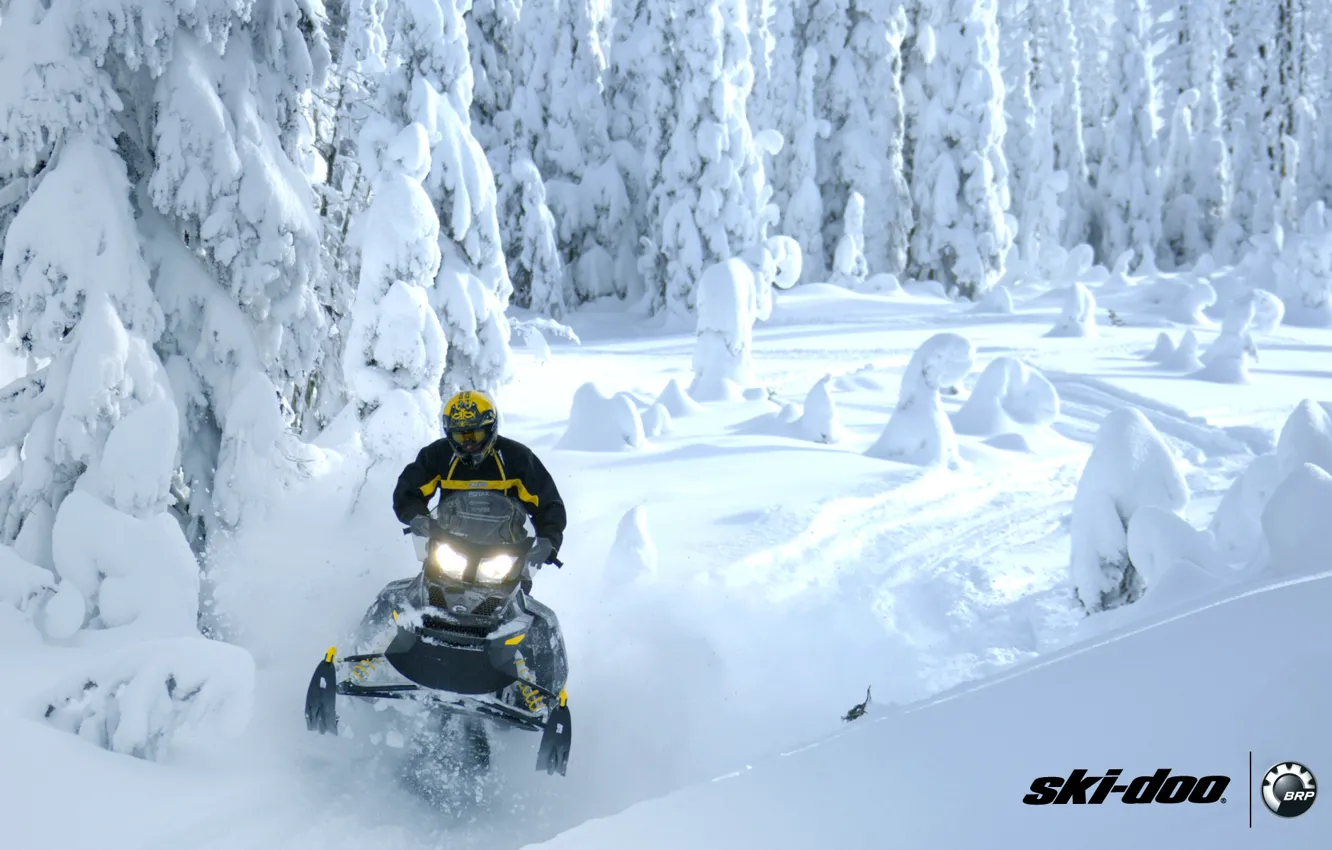 Фото обои лес, снег, спорт, sport, snow, снегоход, snowmobile, ski-doo