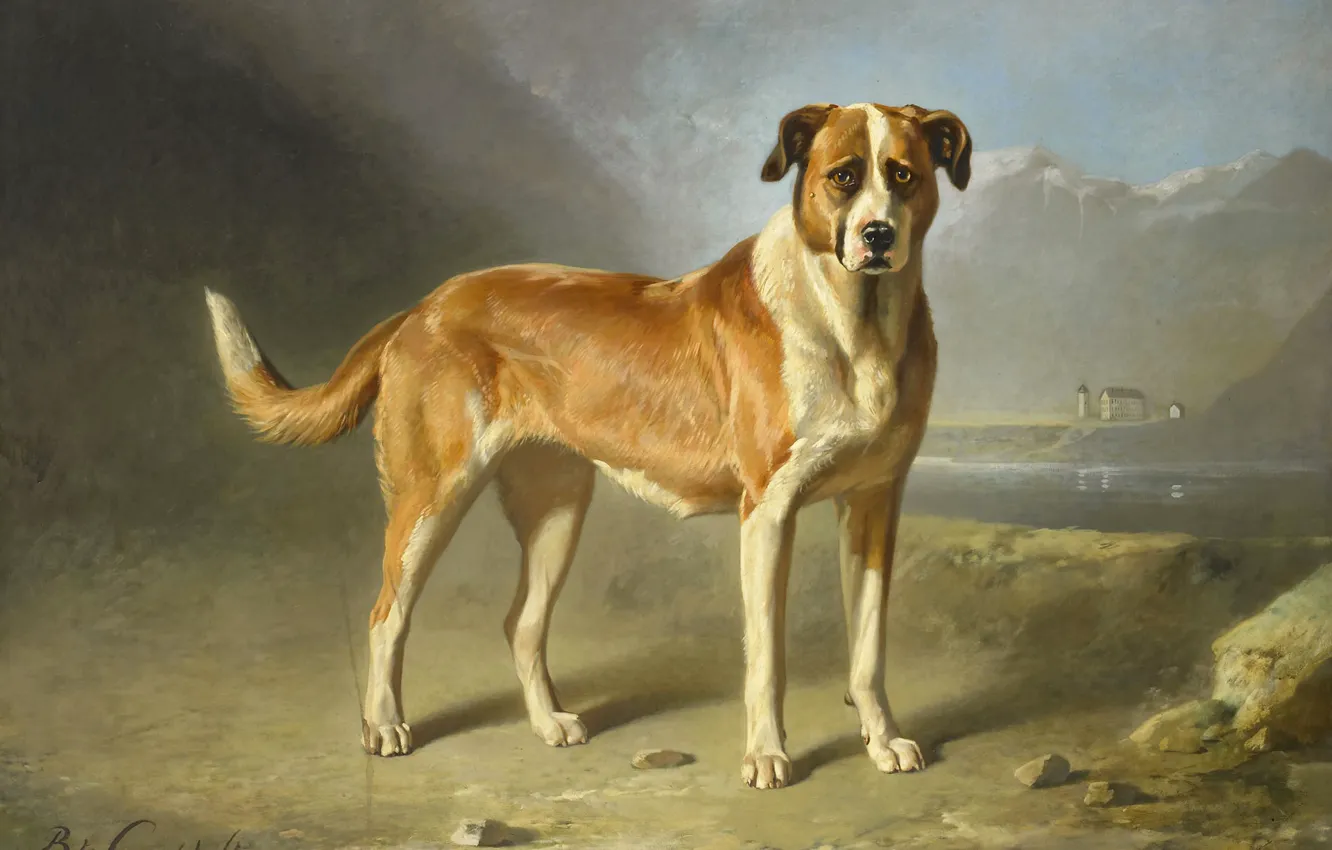 Фото обои животные, масло, собака, картина, Сенбернар, Бернард те Гемпт
