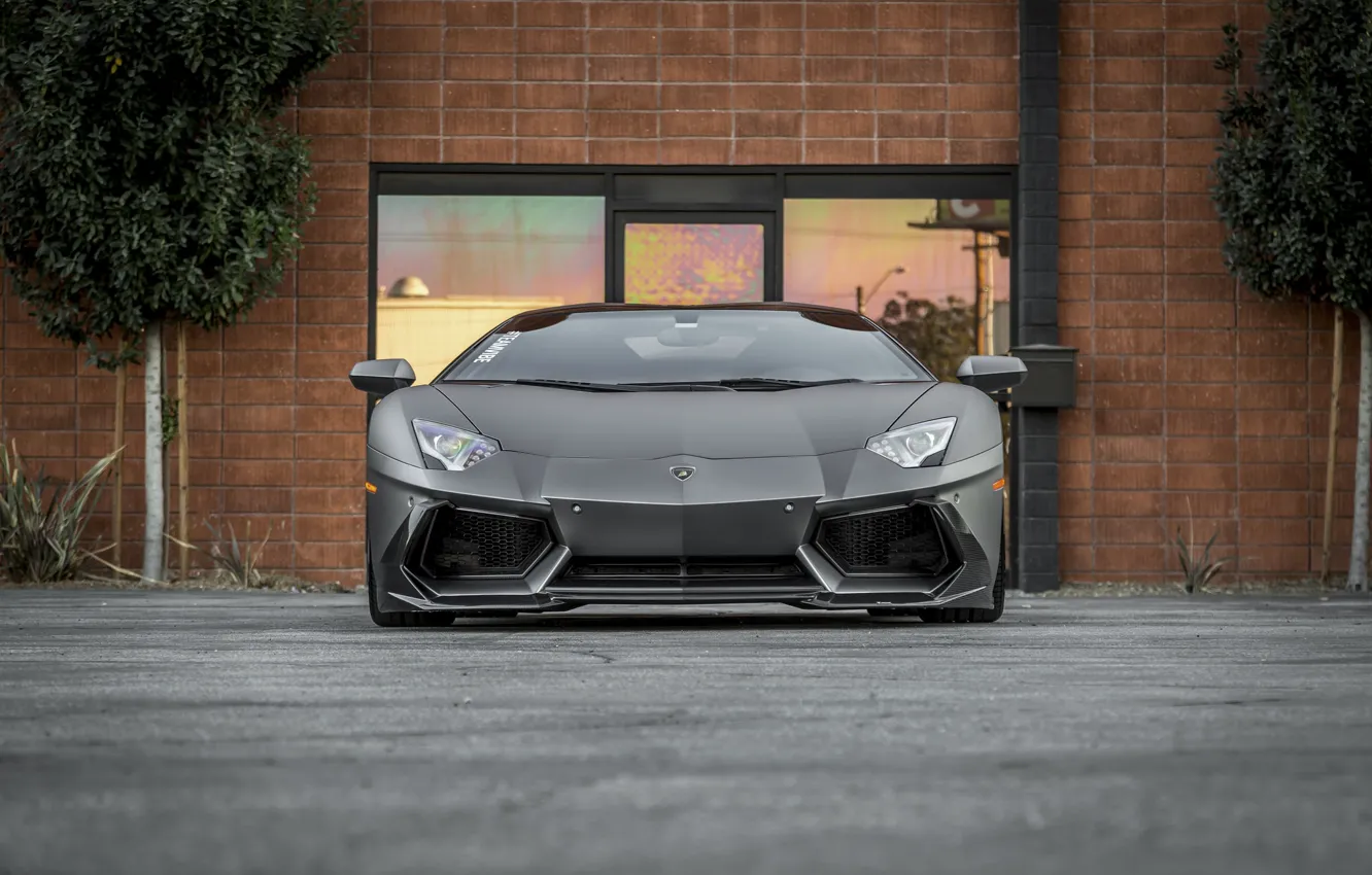 Фото обои Lamborghini, Front, Aventador, Face, LP 700-4, VAG, Graphite