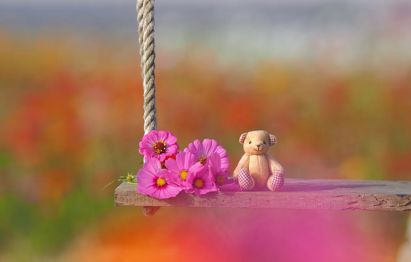 Фото обои цветы, качели, настроение, игрушка, медвежонок, боке, космея, плюшевый мишка