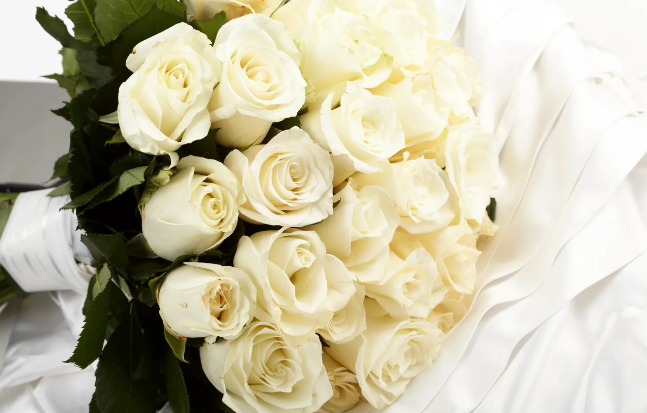 Фото обои цветы, розы, букет, ткань, белые