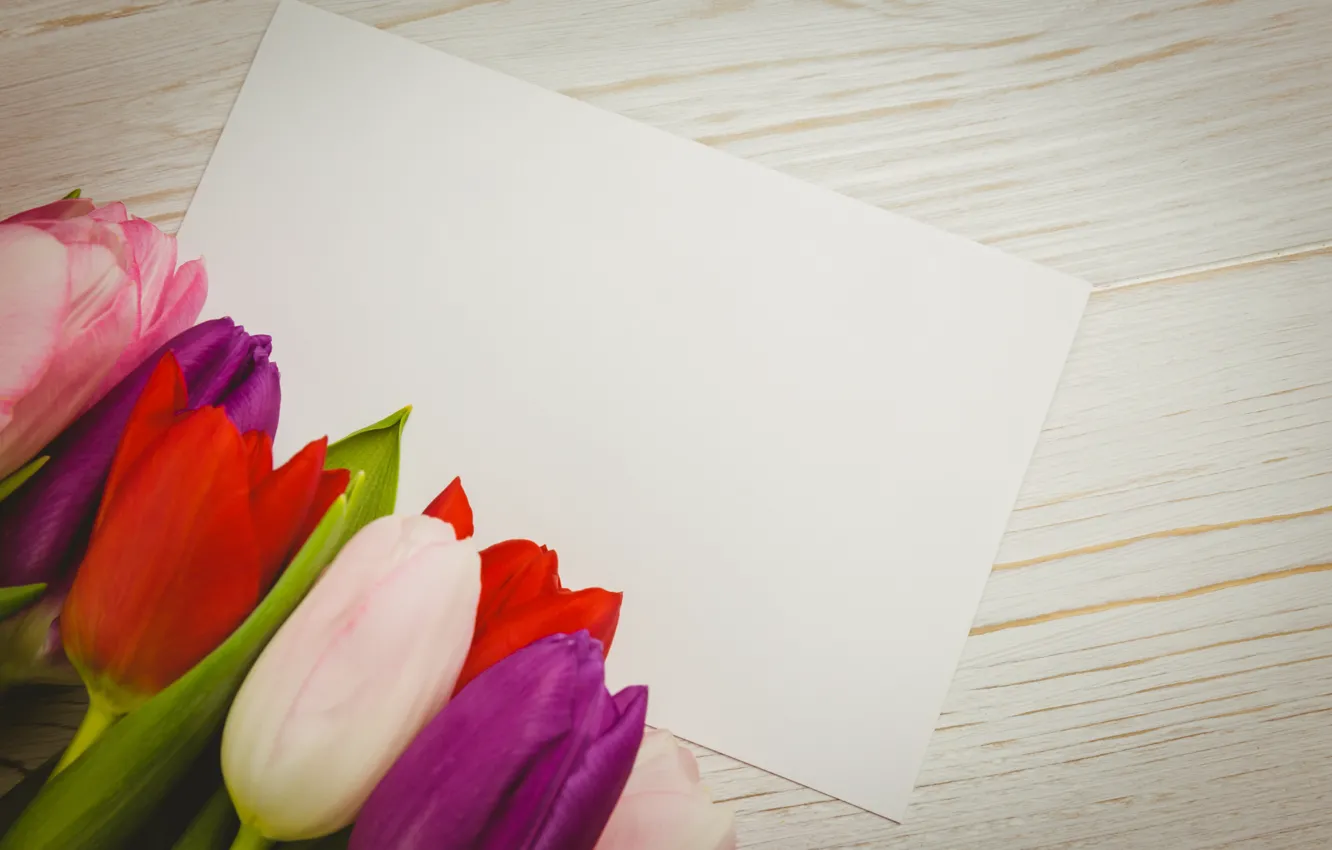 Фото обои цветы, colorful, тюльпаны, red, white, wood, flowers, tulips