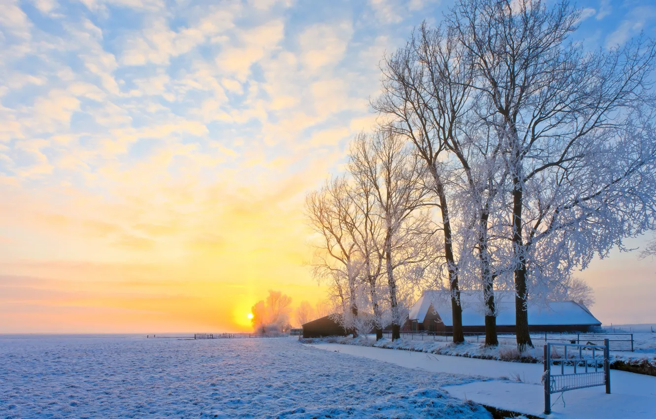 Фото обои зима, иней, поле, лес, небо, солнце, облака, лучи