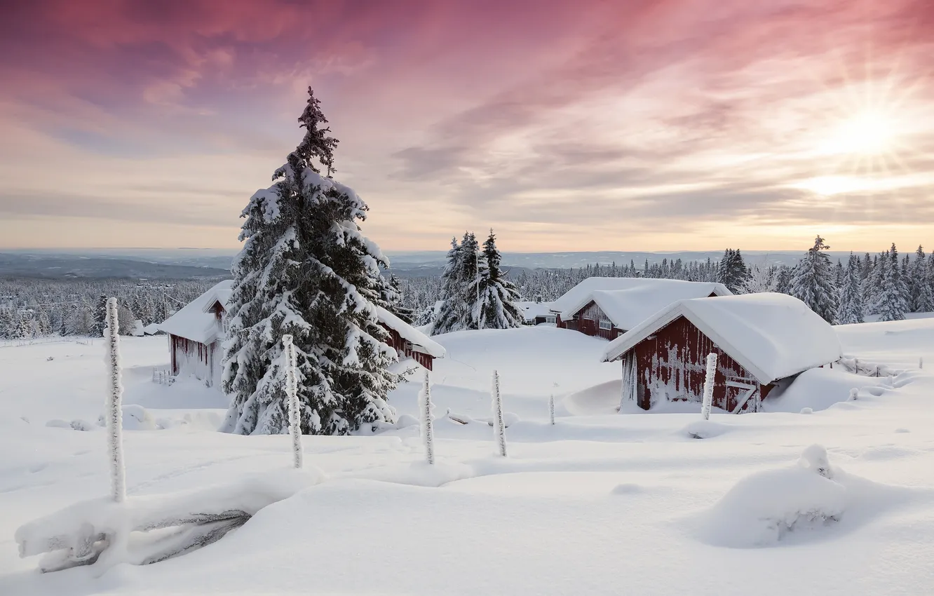 Фото обои зима, небо, снег, деревья, дома