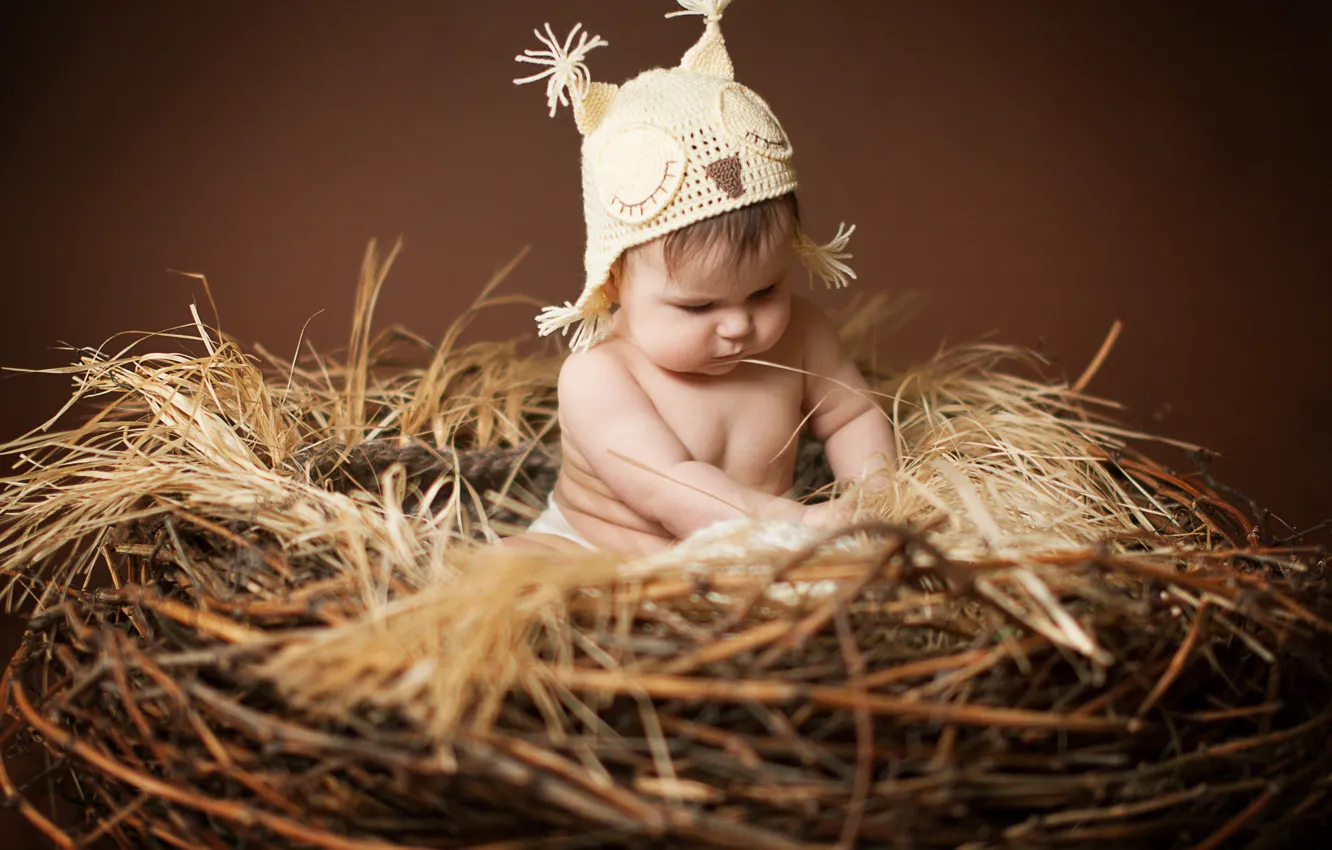 Фото обои дети, сова, шапка, малыш, гнездо, ушки, ребёнок, шапочка