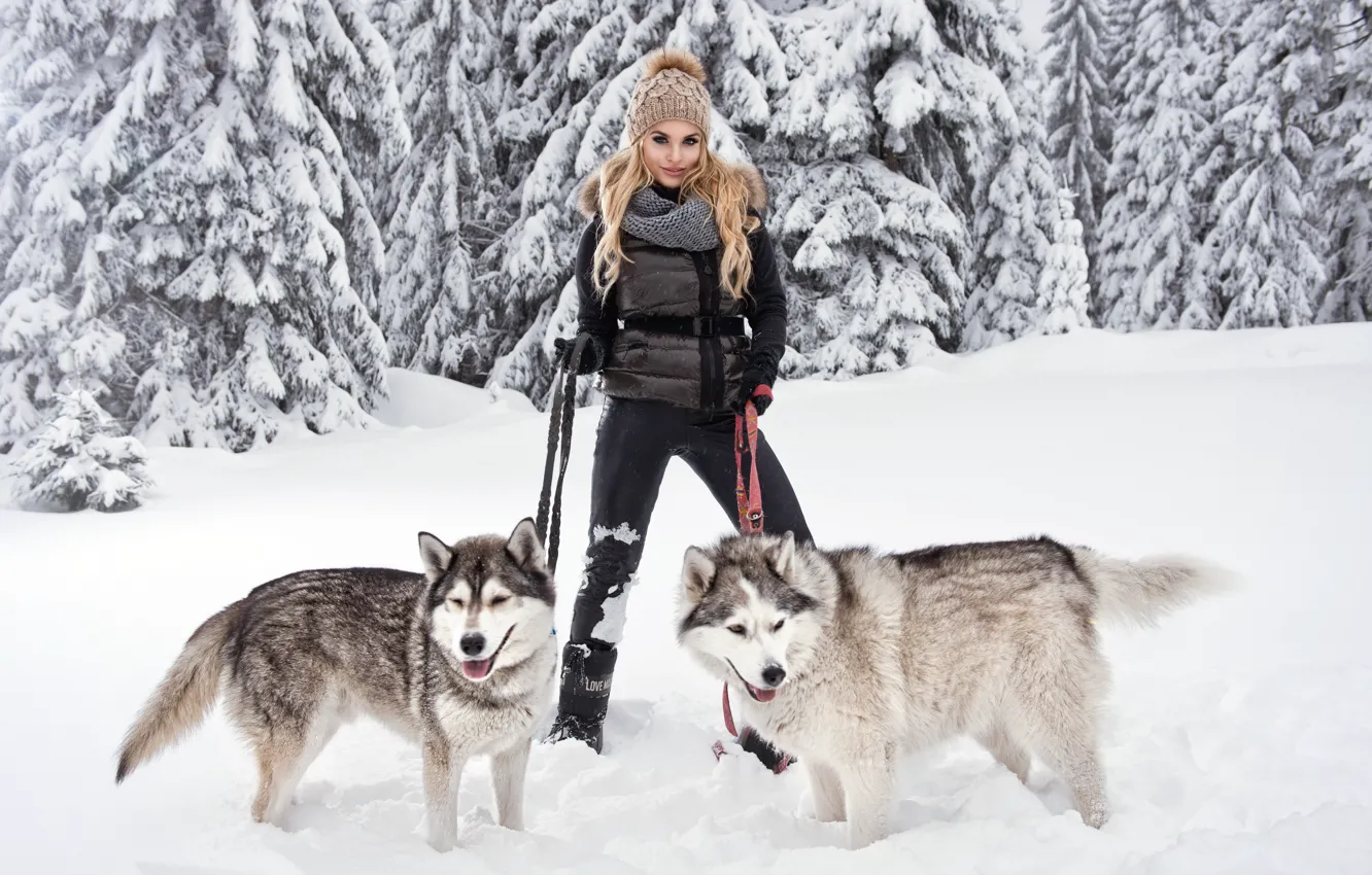 Фото обои собаки, девушка, снег, поза, блондинка, хаски, порода