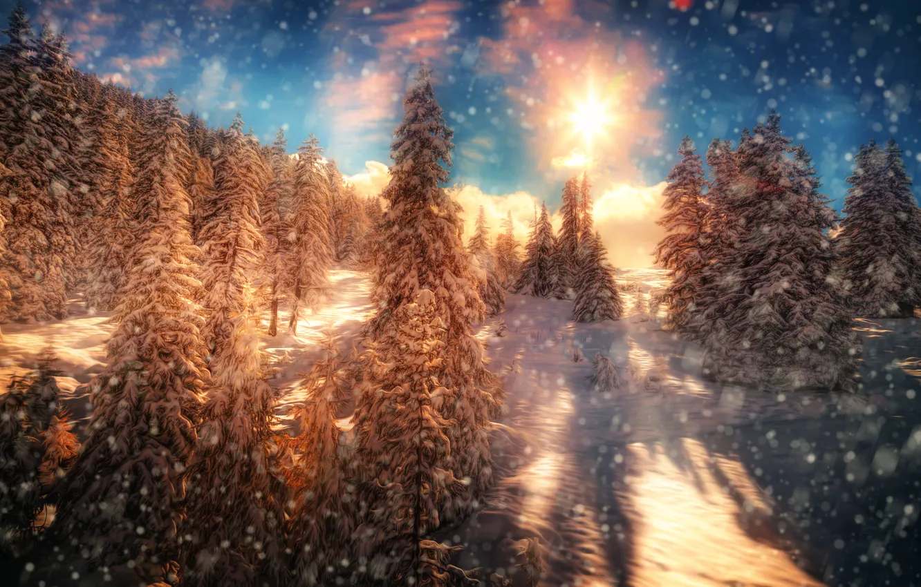 Фото обои лес, солнце, снег, деревья, обработка, Fire and Ice