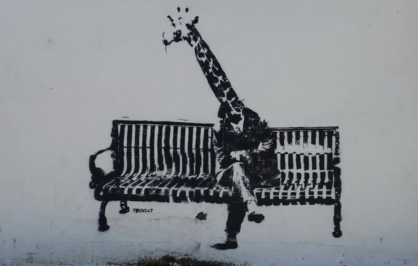 Фото обои скамейка, стена, граффити, человек, жираф