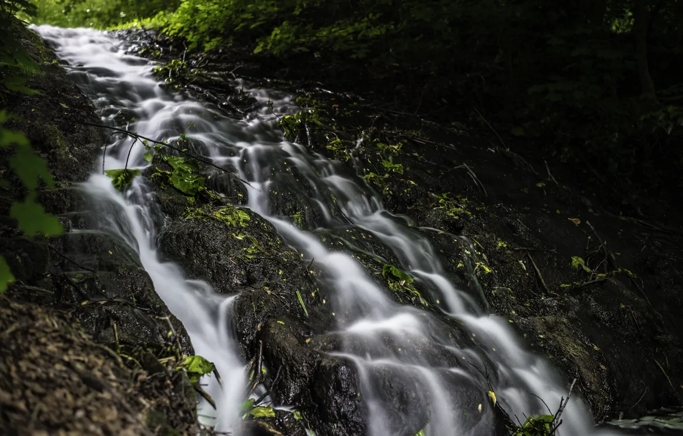 Фото обои вода, брызги, поток, листочки, травинки, ручеёк