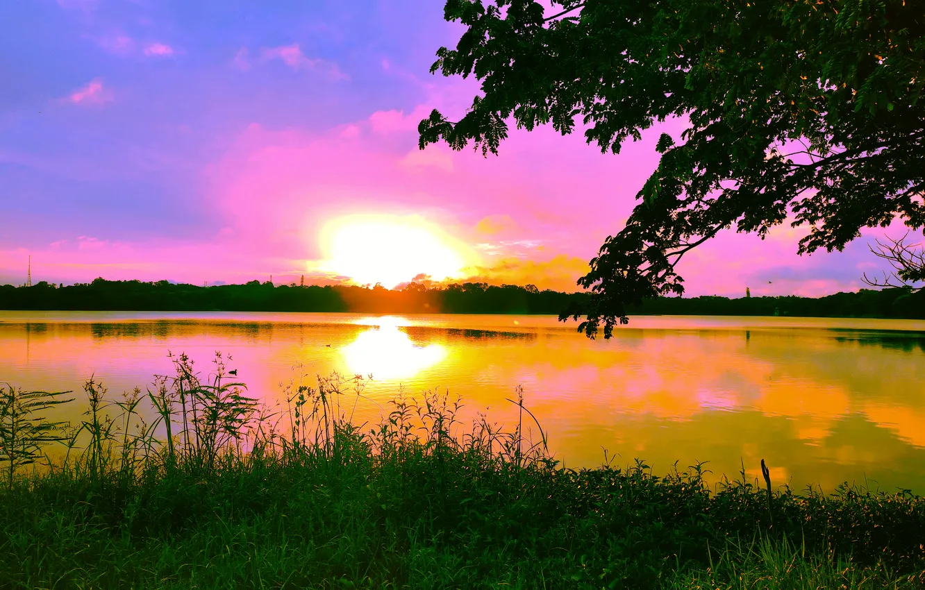 Фото обои Sky, Sun, Water, Sunrise, Dawn, Morning, Lake, Trees