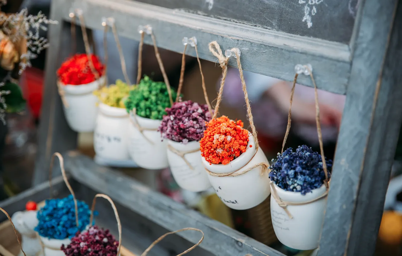 Фото обои цветы, обои, горшок, декоративная композиция