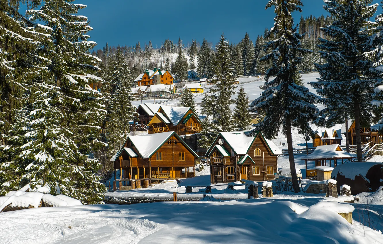Фото обои зима, лес, солнце, снег, деревья, дома, ели, Украина
