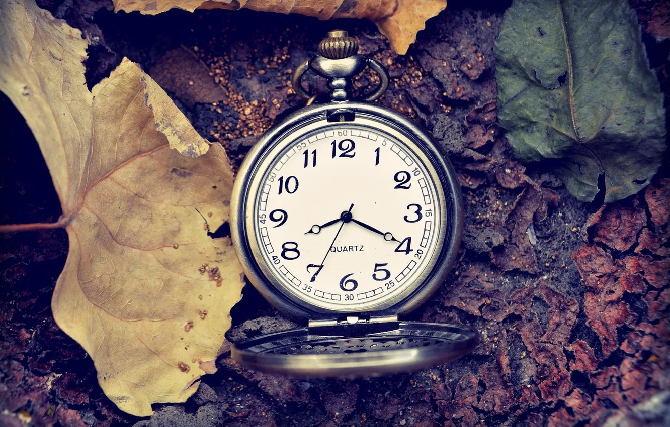 Фото обои листья, время, стрелки, часы, цифры