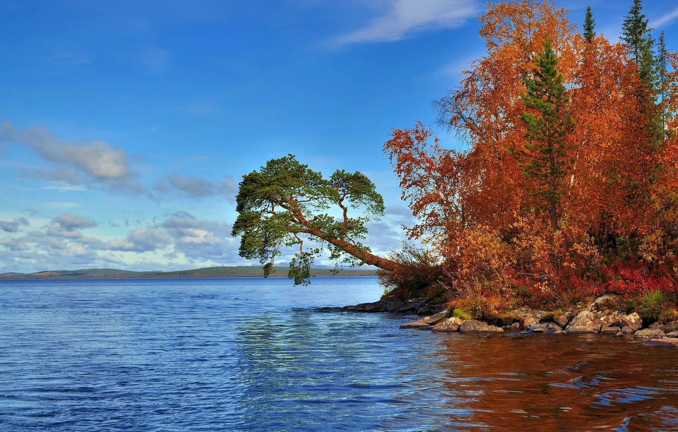 Фото обои осень, листья, деревья, горы, природа, озеро, холмы, горизонь
