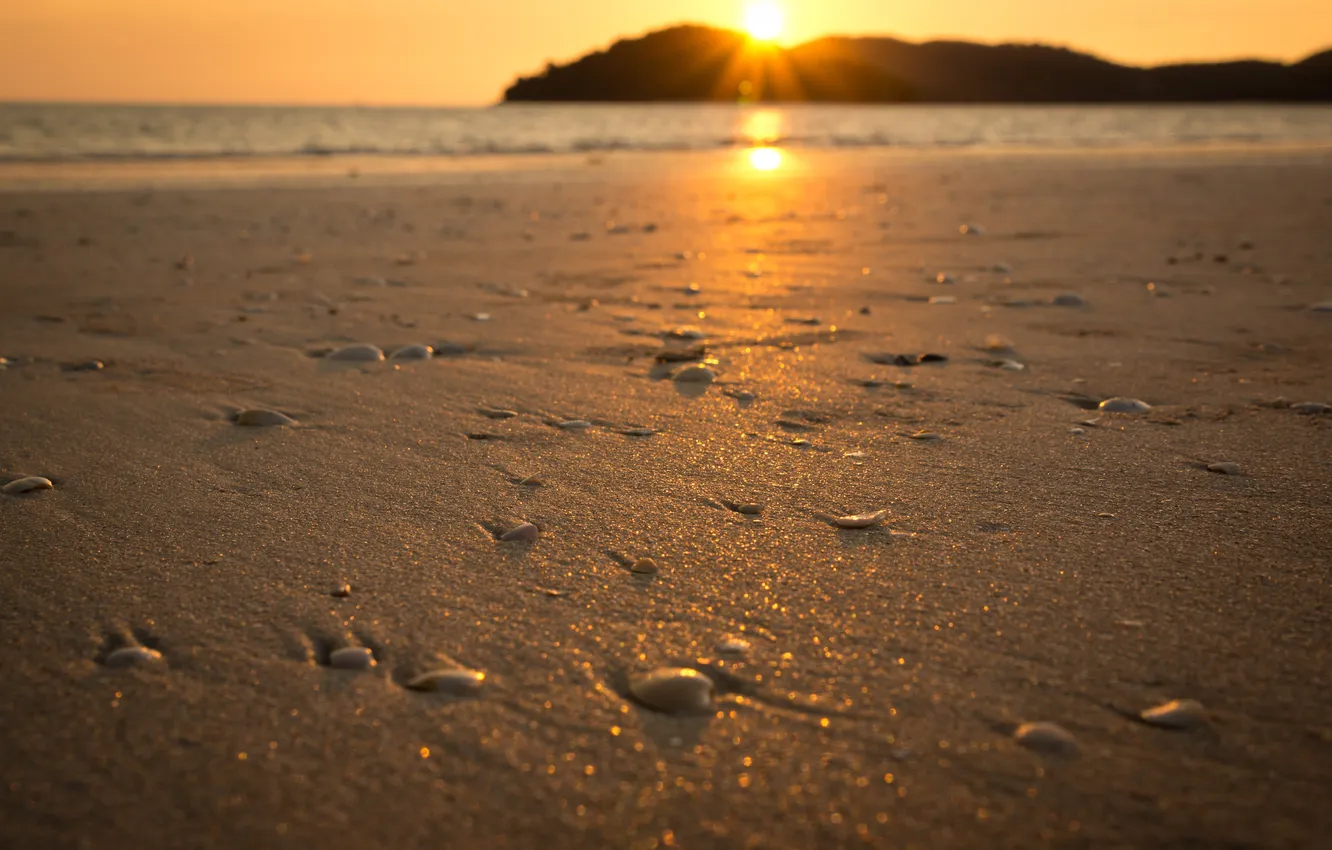 Фото обои песок, море, Солнце