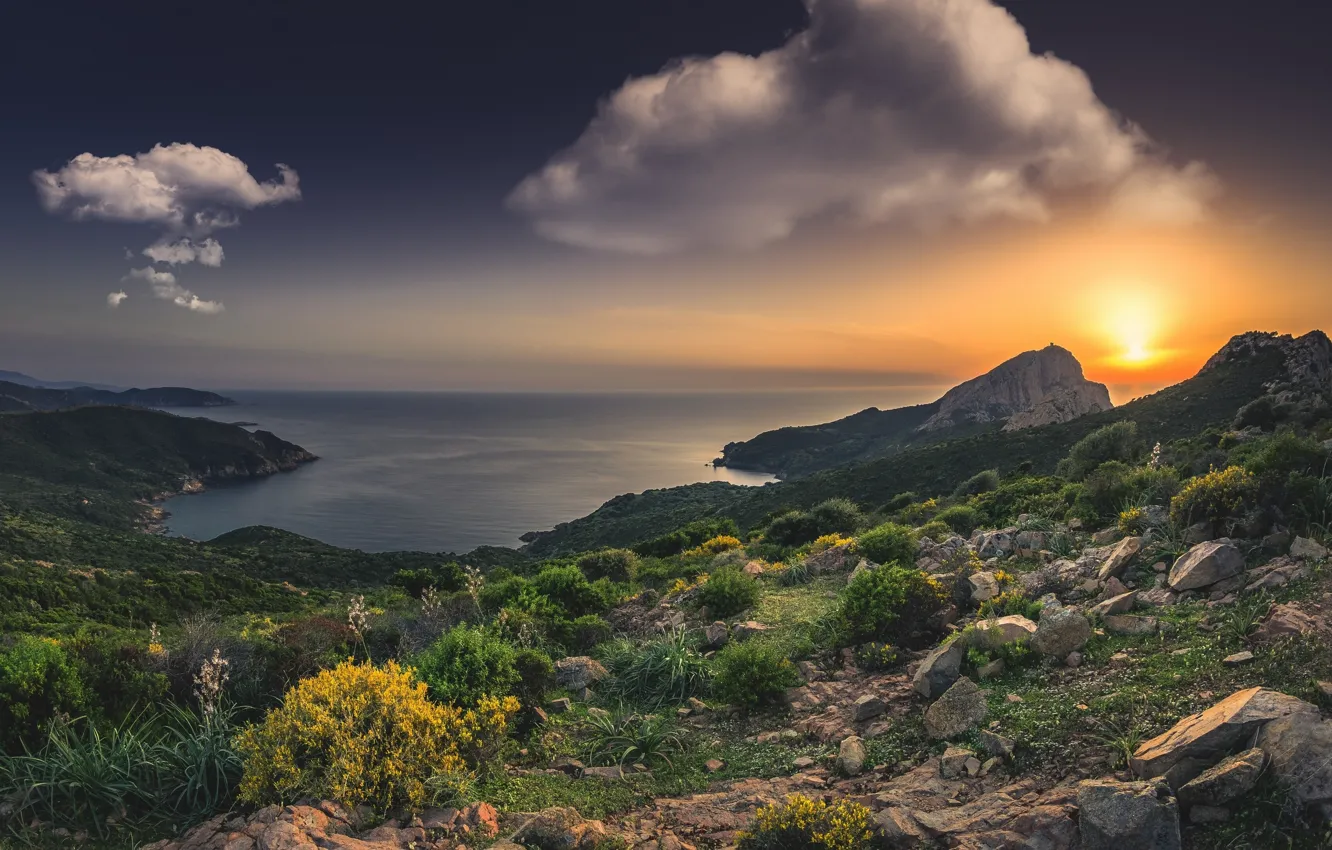 Фото обои море, закат, скалы, побережье, Франция, France, Корсика, Средиземное море